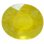 Yellow Sapphire(Pukhraj) Gemstones Cts. 7.88 Ratti 8.66