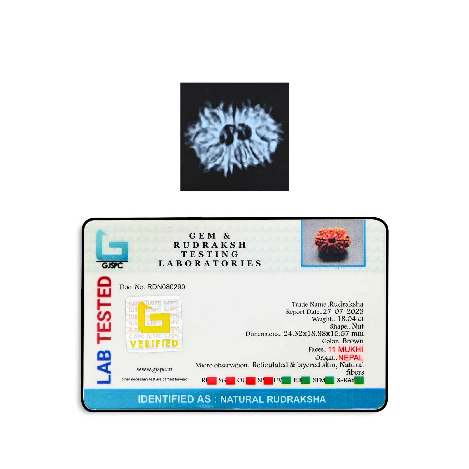 Certificate Image