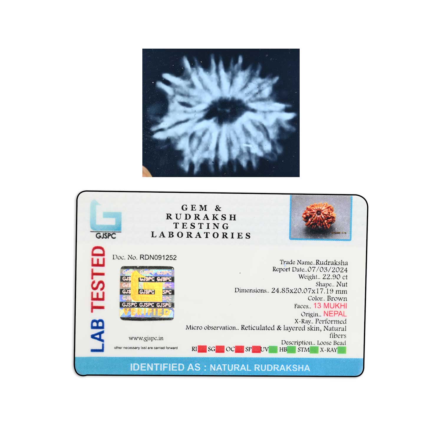Certificate Image