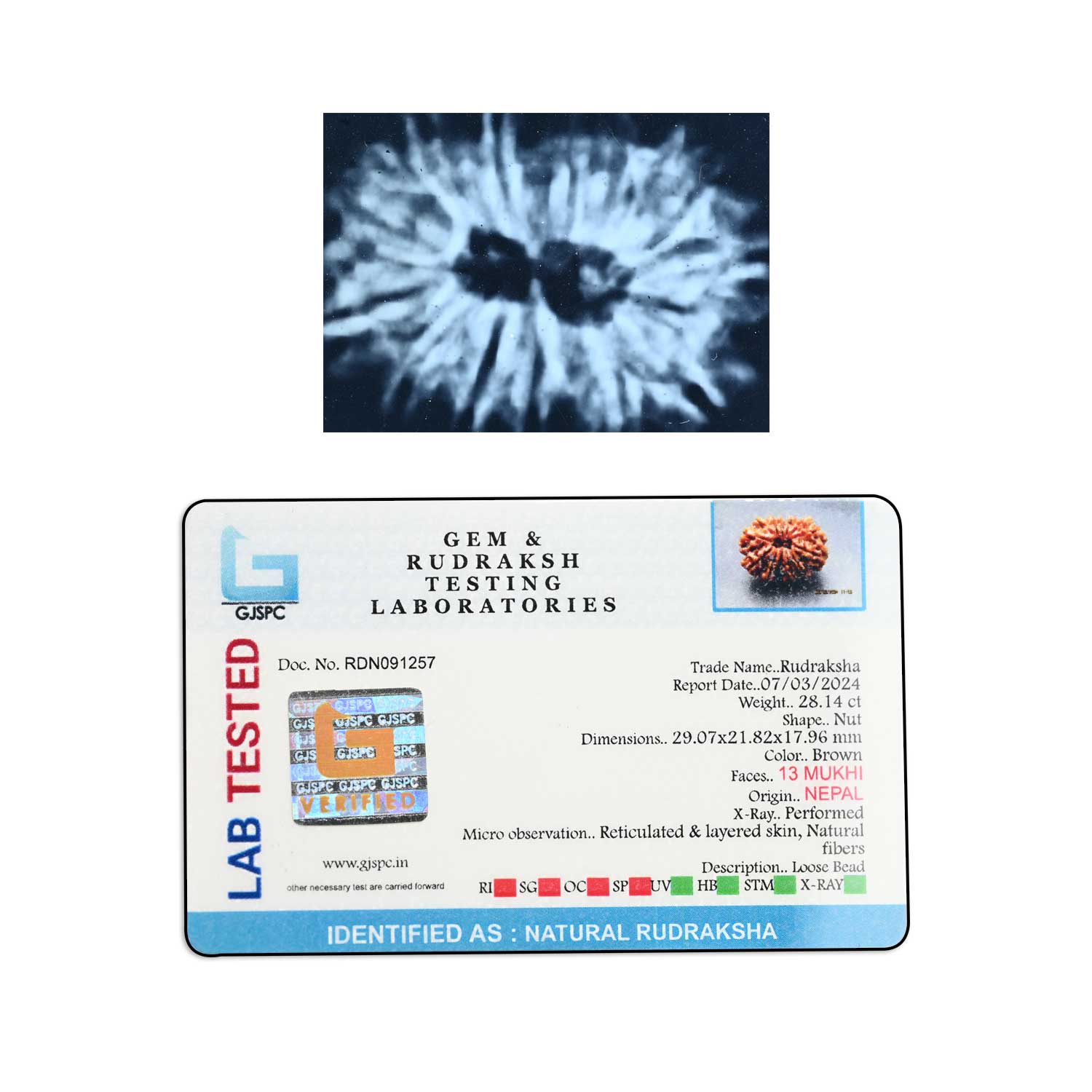 Certificate Image