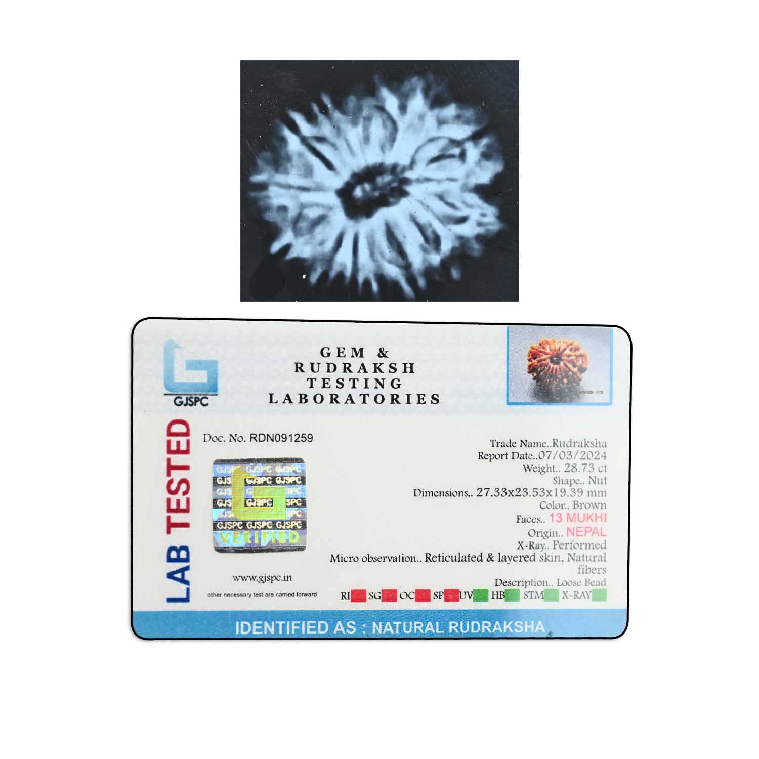 Certificate Image