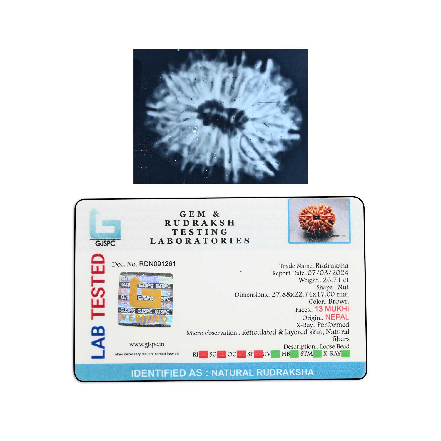 Certificate Image