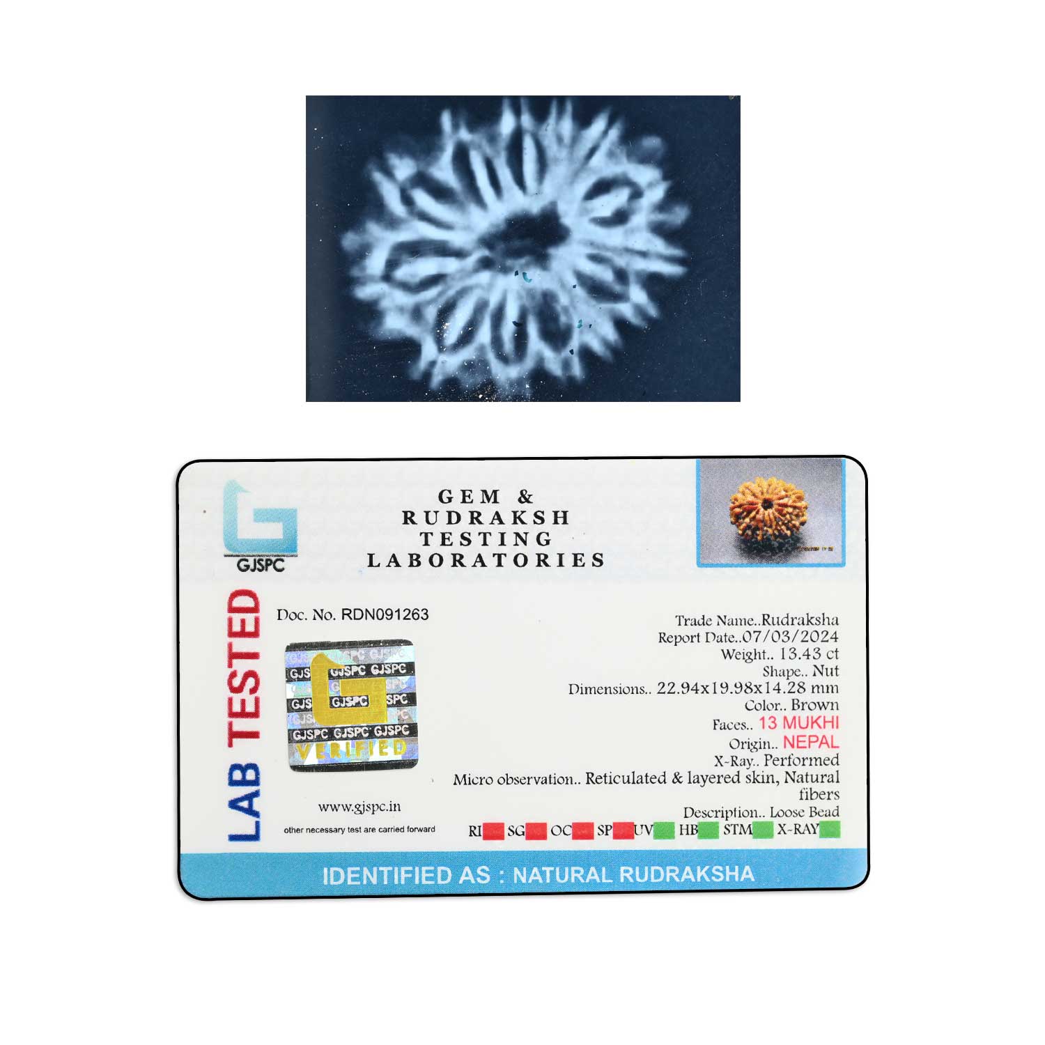 Certificate Image