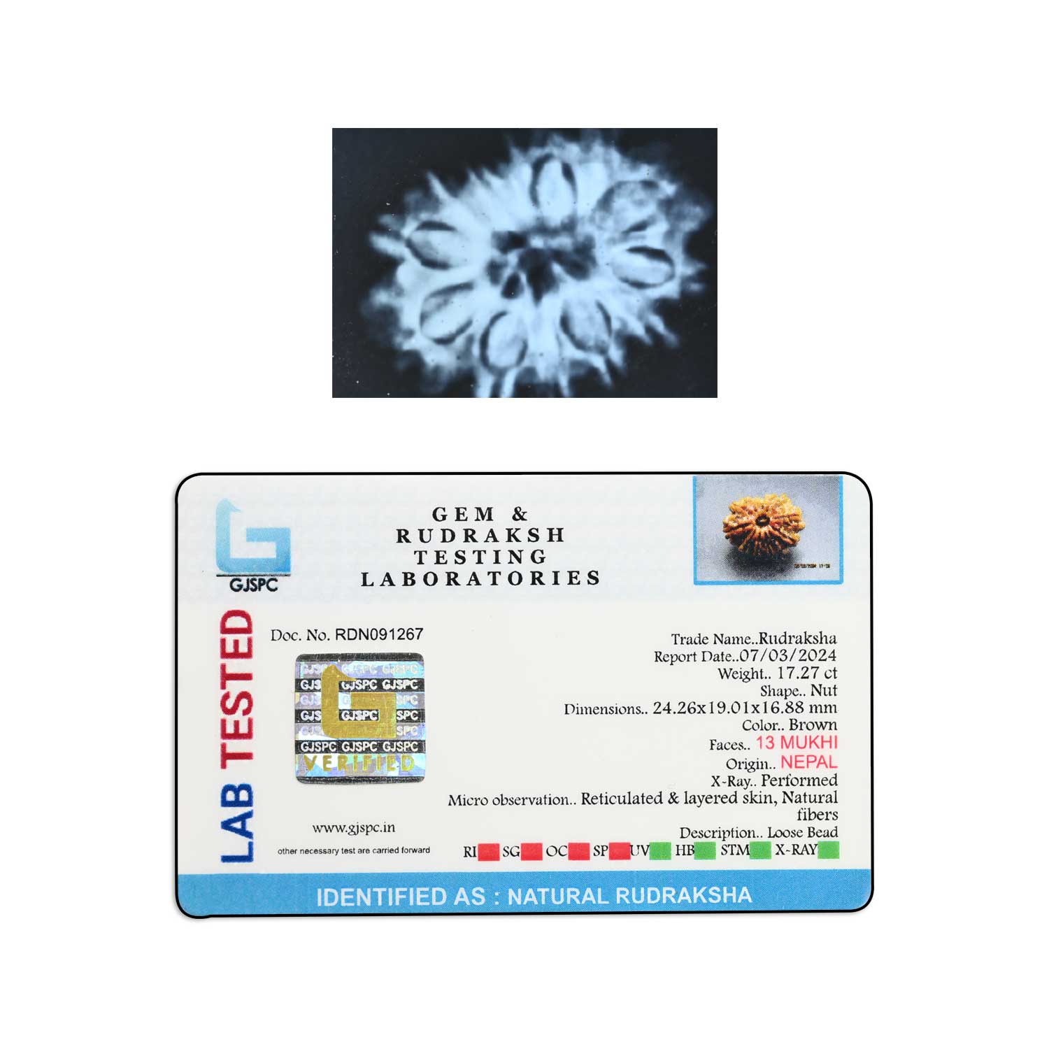 Certificate Image