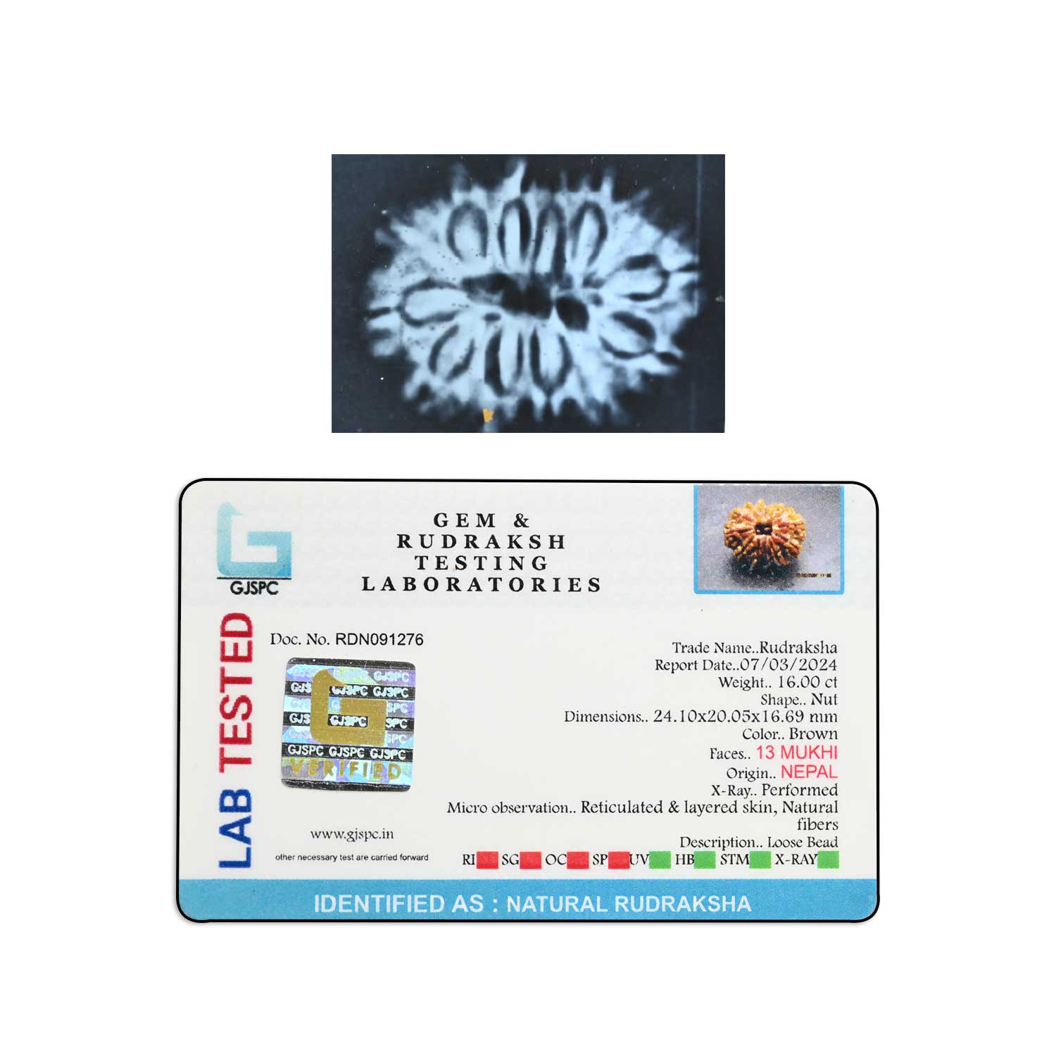 Certificate Image