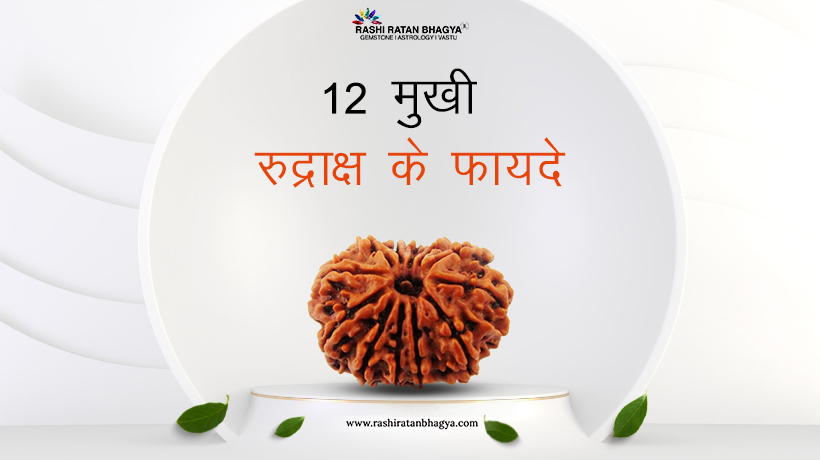 12 मुखी रुद्राक्ष पहनने के फायदे | Barah Mukhi Rudraksha Benefits in Hindi