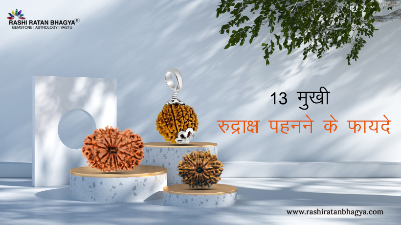 13 मुखी रुद्राक्ष पहनने के फायदे (Terah Mukhi Rudraksha Benefits in Hindi)