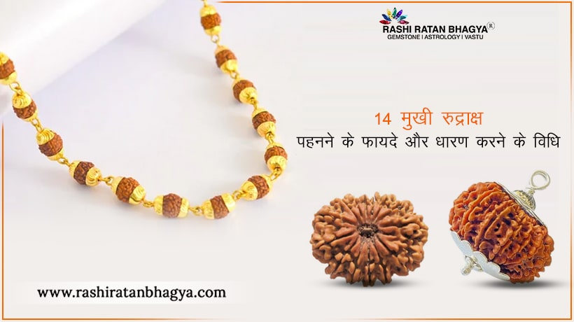 14 मुखी रुद्राक्ष पहनने के फायदे | 14 Mukhi Rudraksha Benefits in Hindi