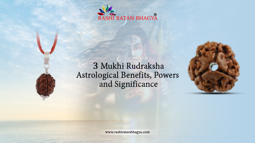 3 Mukhi Rudraksha Benefits, Powers, and Significance
