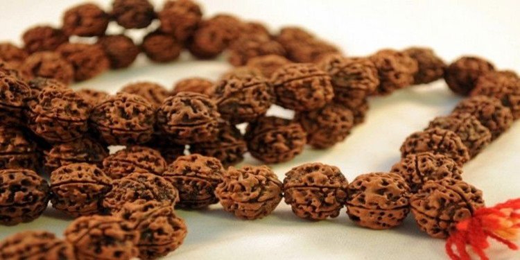 10 Interesting Facts About Rudraksha Every Spiritual Seeker Must Know