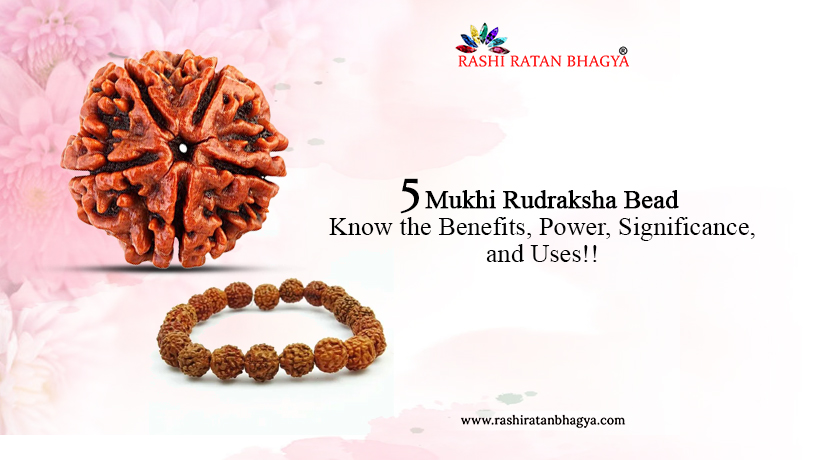 5 Mukhi Rudraksha Benefits, Significance and Uses