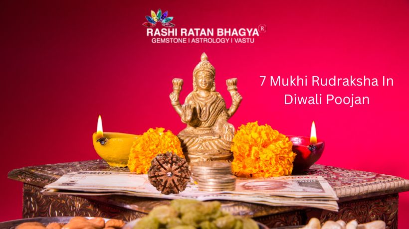 7 Mukhi Rudraksha: Prosperity and wealth on Diwali 2025