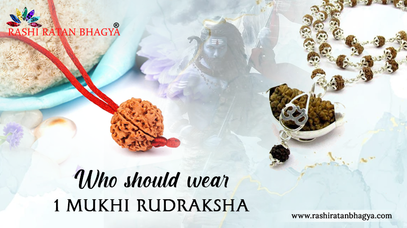 Who Should Wear Ek Mukhi Rudraksha?