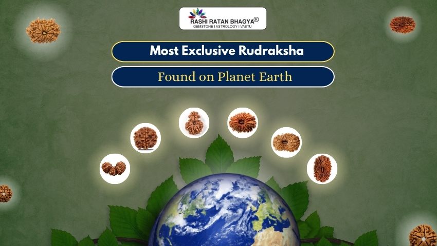 6 Most Exclusive Rudraksha in the World