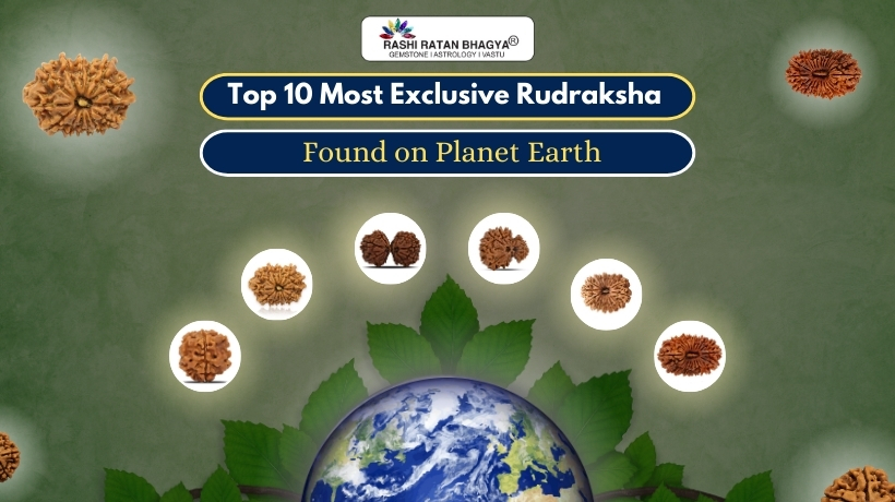 Most Exclusive Rudraksha Found on Planet Earth