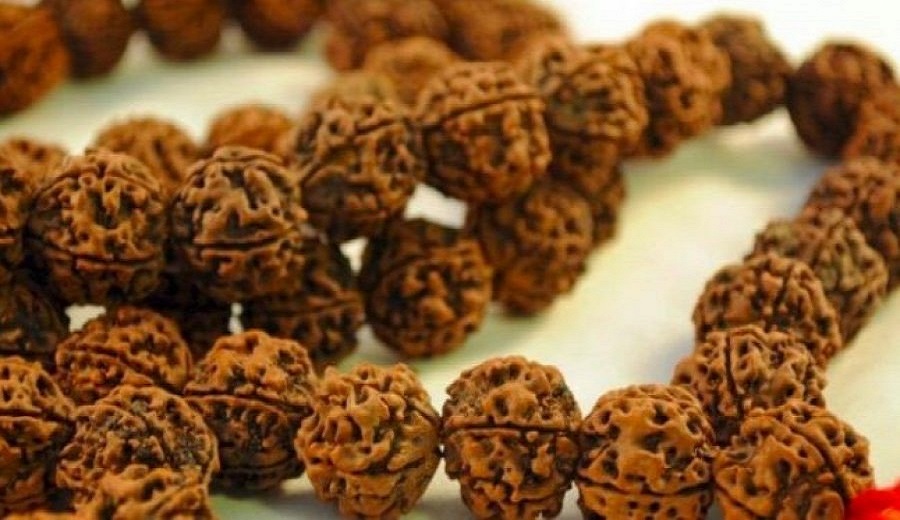 Different Types of Rudraksha Beads and their Benefits