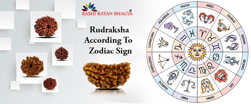 Astrological Guidance: Choosing the Right Rudraksha Based on Your Zodiac Sign