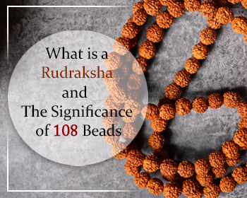 What is rudraksha and Significance of 108 Beads?