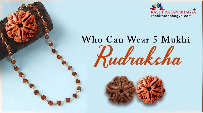 Who Can Wear 5 Mukhi Rudraksha?